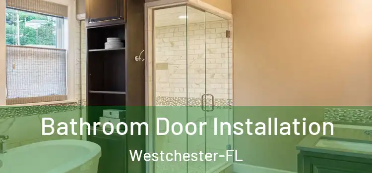 Bathroom Door Installation Westchester-FL