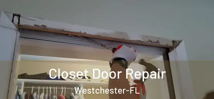 Closet Door Repair Westchester-FL