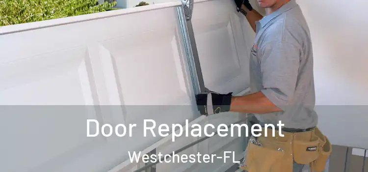  Door Replacement Westchester-FL