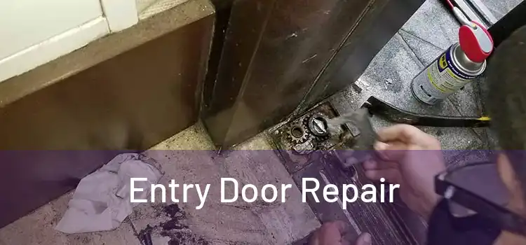 Entry Door Repair