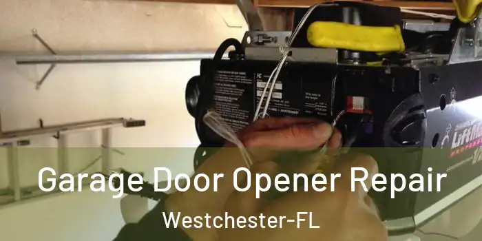 Garage Door Opener Repair Westchester-FL