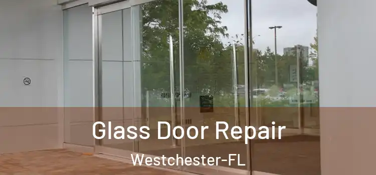 Glass Door Repair Westchester-FL