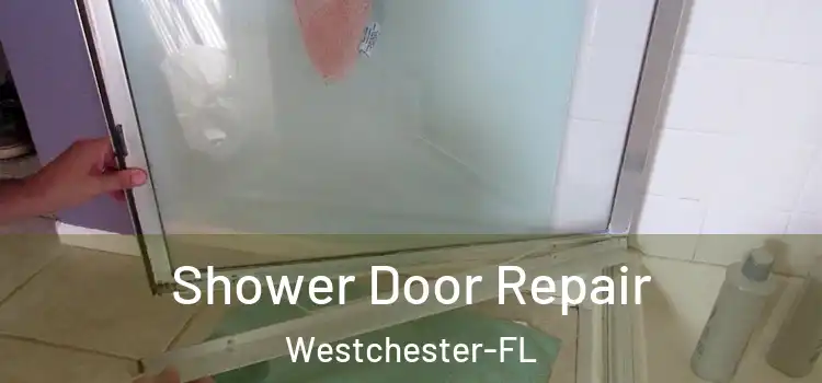 Shower Door Repair Westchester-FL
