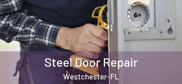 Steel Door Repair Westchester-FL